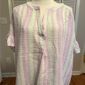 Ruby Rd. Pastel Cotton Top 1X